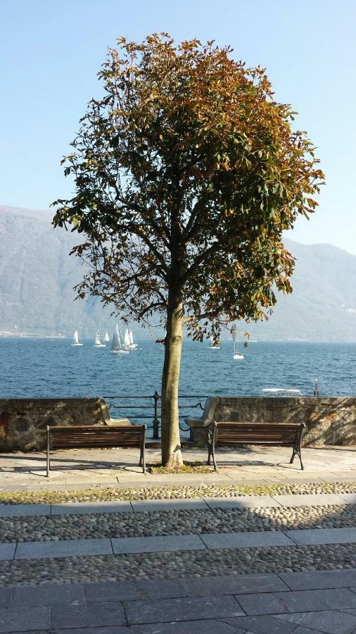 Casa Farfalla Cannobio Buitenkant foto